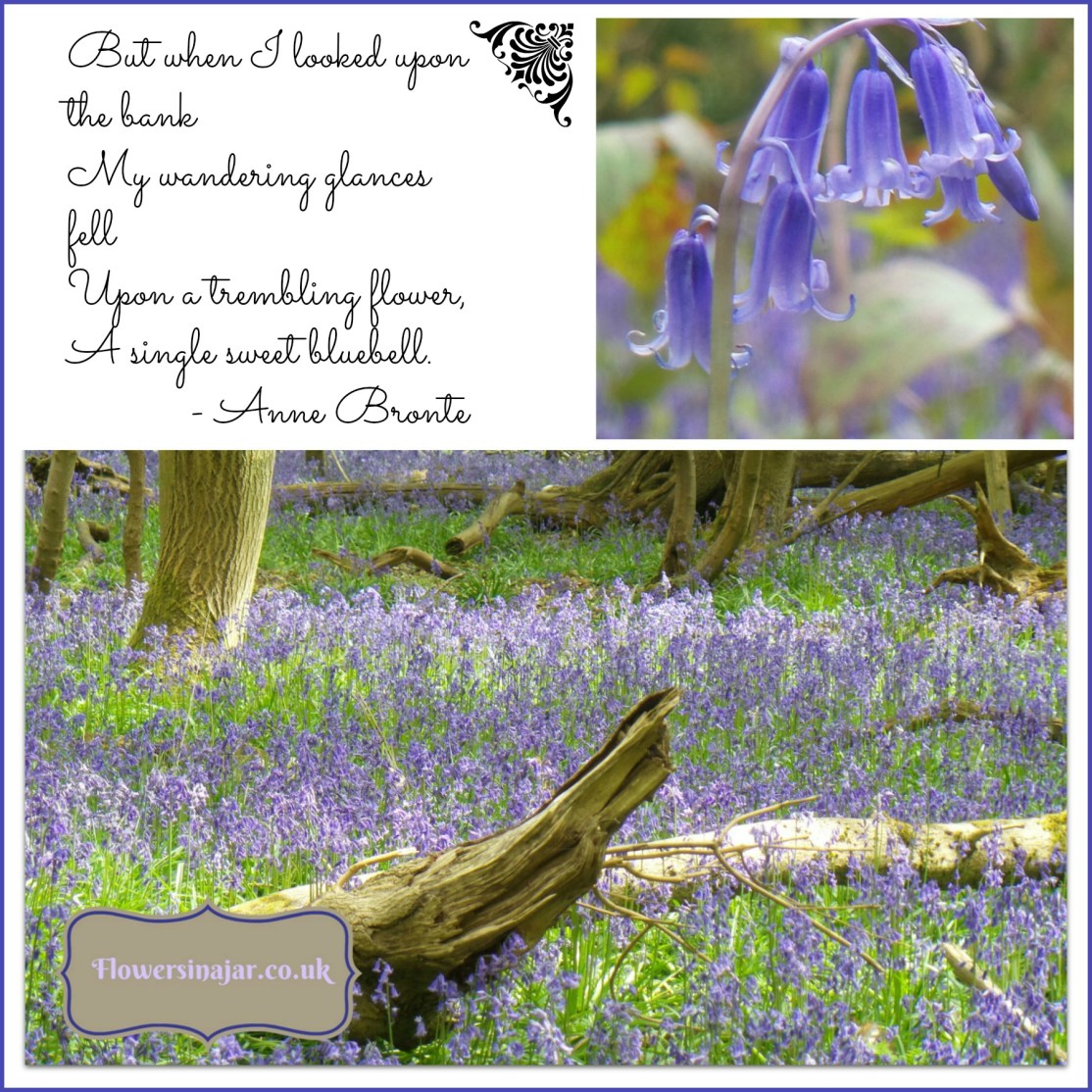 Bluebell-poem-anne-bronte-fleet-Collage