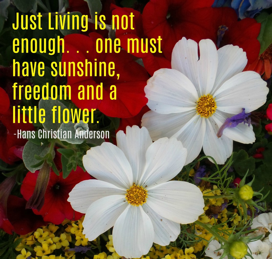 Flowers-in-a-jar-hans-christian-anderson-quote