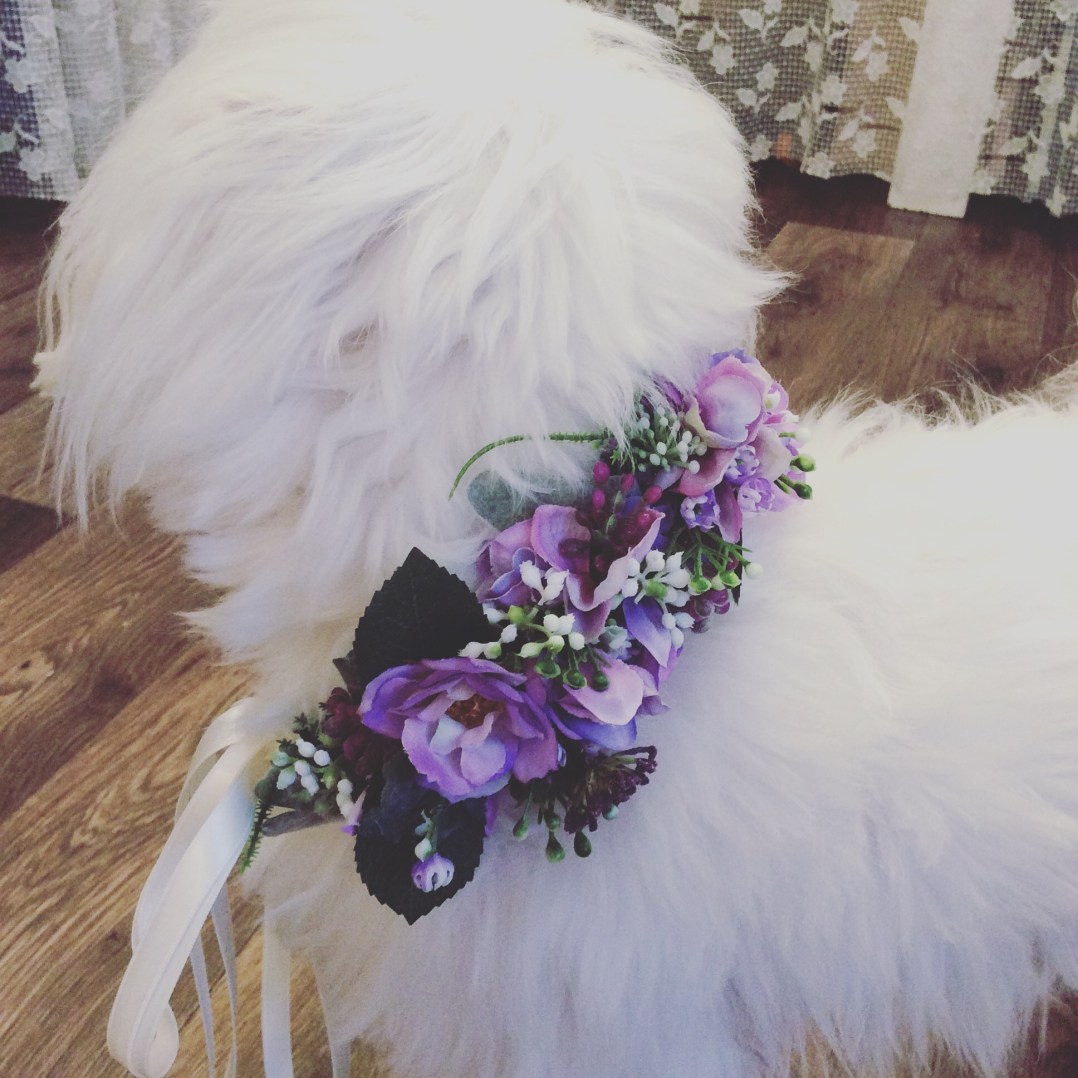 21771EA7-9583-4521-8821-0C5C0387E1D0