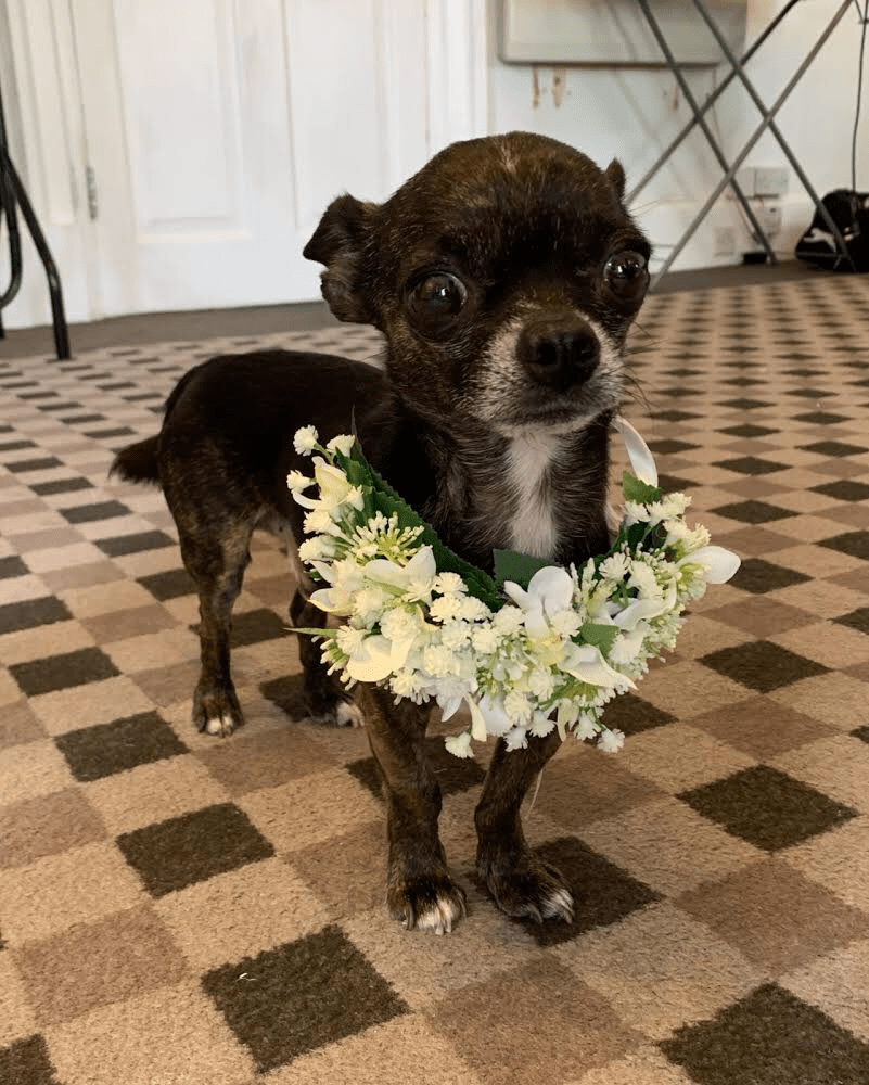 4C1A920B-32CE-4AD9-B58A-563052B906E1