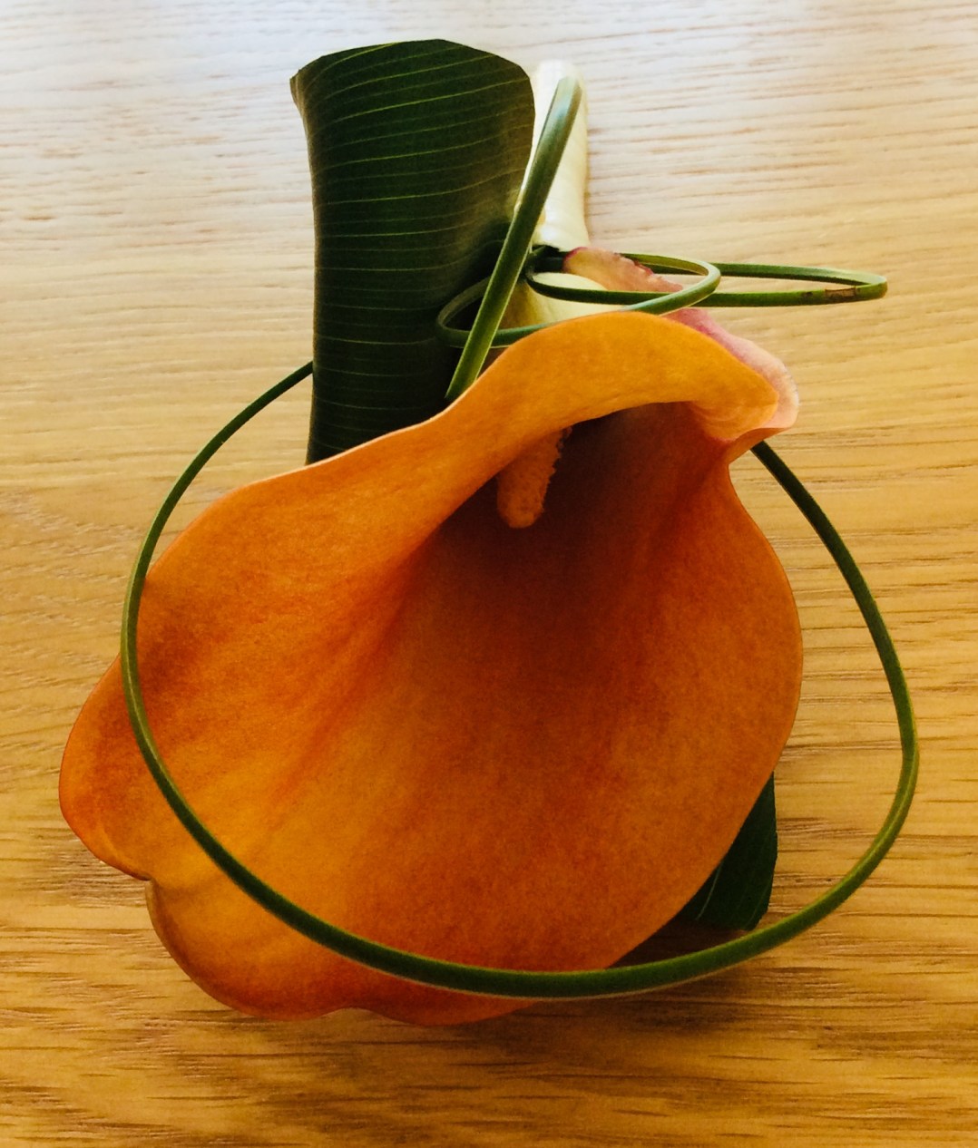 2A6FC039-F007-40E2-A148-7B1D4AB6C18B